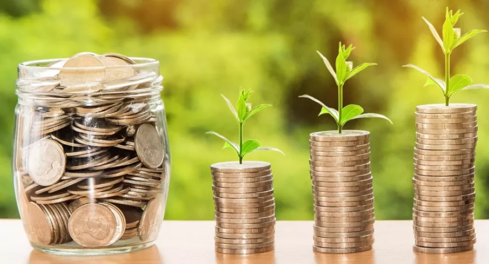 plants growing out of money 