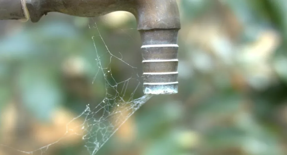 kraan met spinnenweb