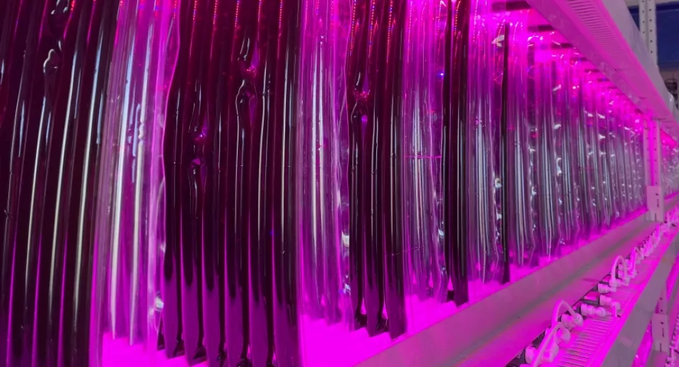 proviron bedrijfsbezoek