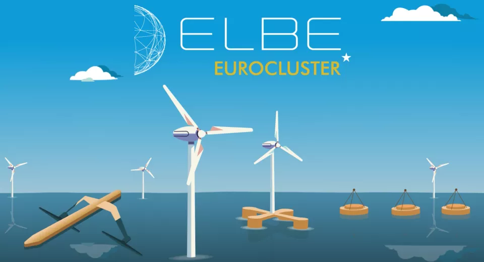 ELBE Eurocluster