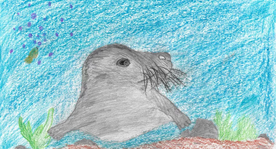 Tekenwedstrijd 2024 - 2de graad - 2de plaats