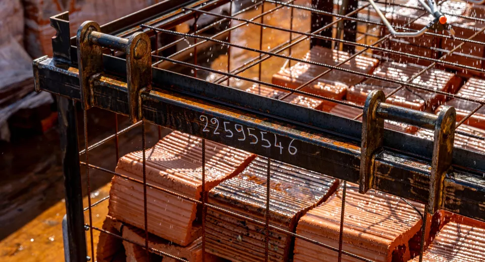 Belreefs ©Wim De Wulf