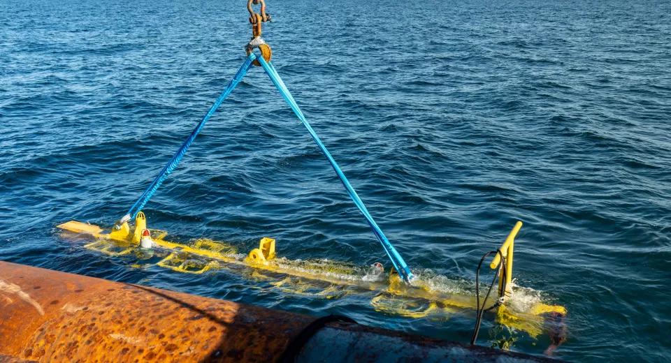 Belreefs ©Wim De Wulf