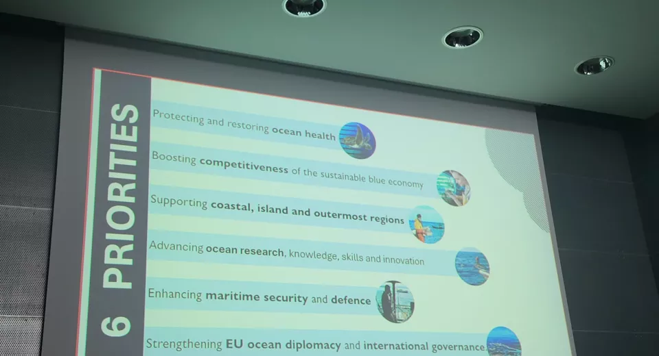 WS NESB project Venice