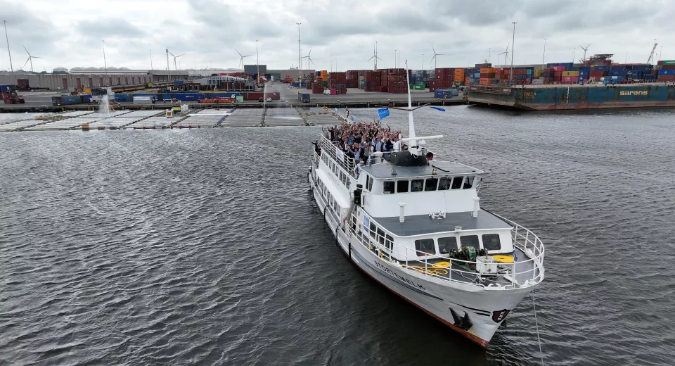 Oceans of Energy - OSF Nymphaea Aurora