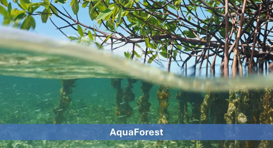 Blue Innovation Awards 2025 nominee