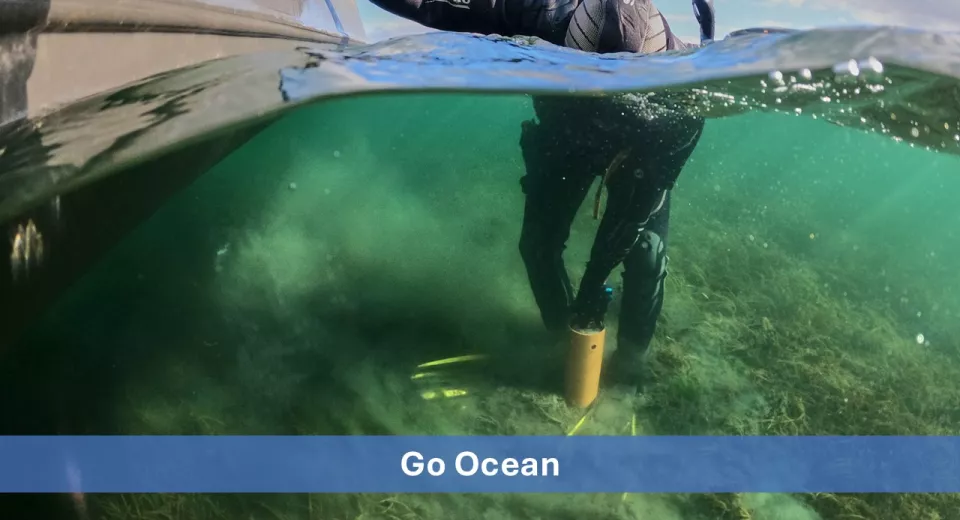 Blue Innovation Awards 2025 nominee