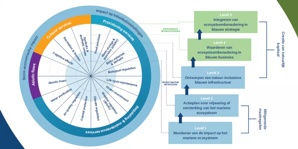 ecosysteembenadering schema