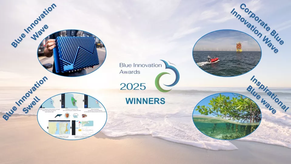 Blue Innovation Awards winners