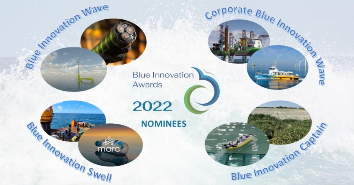 Stem mee voor de publieksprijs van de Blue Innovation Awards | De ...