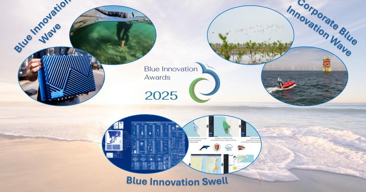 Maak kennis met de kandidaten voor de Blue Innovation Awards 2025 | De ...