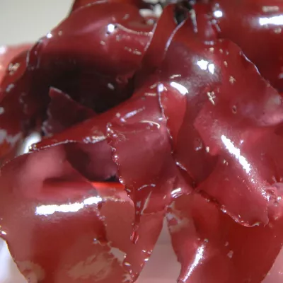 Dulse zeewier OceanBites