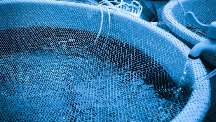 BlueMarine kraan en water