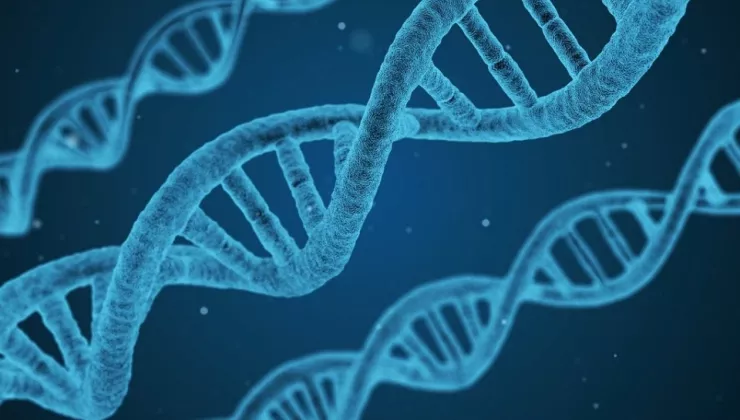 DNA blauw