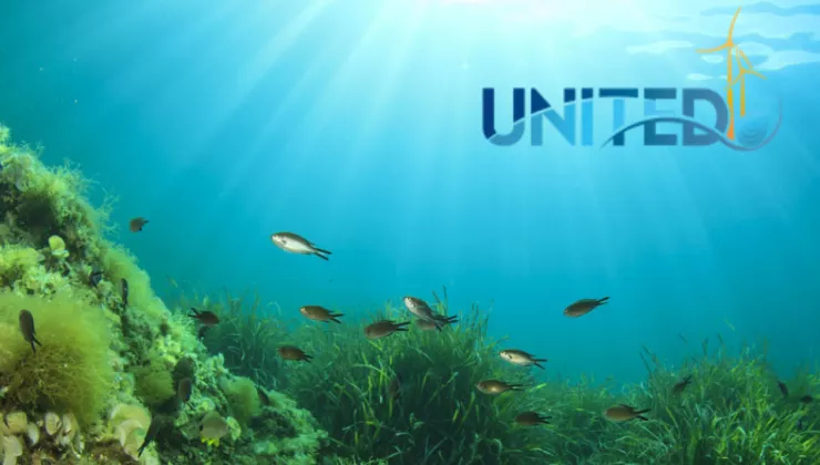 United logo met zee onderwater met vissen