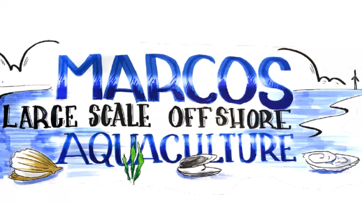 marcos aquaculture illustration 