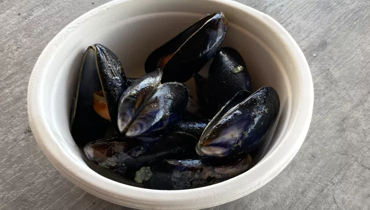Belgische mosselen