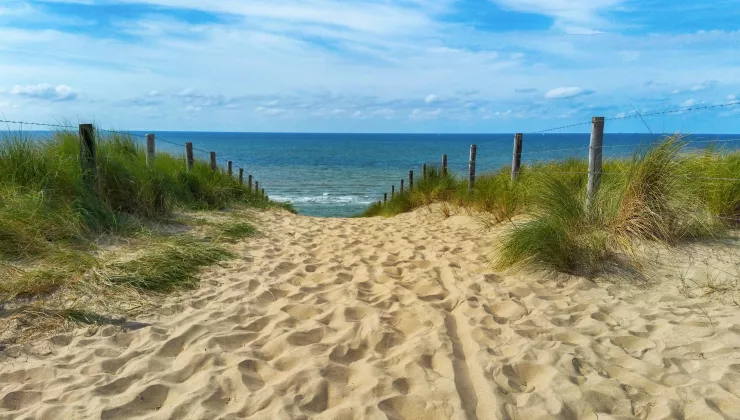 Noordzee duinen