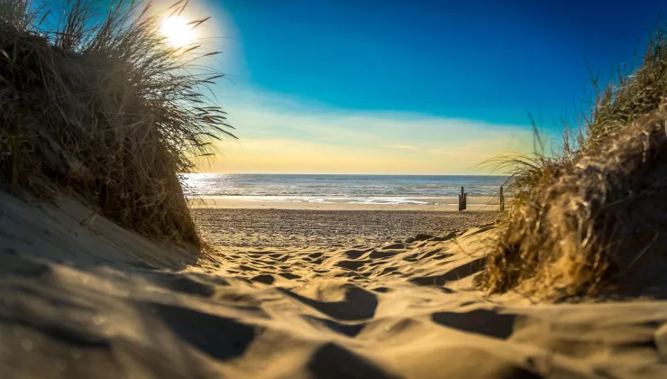Noordzee duinen strand