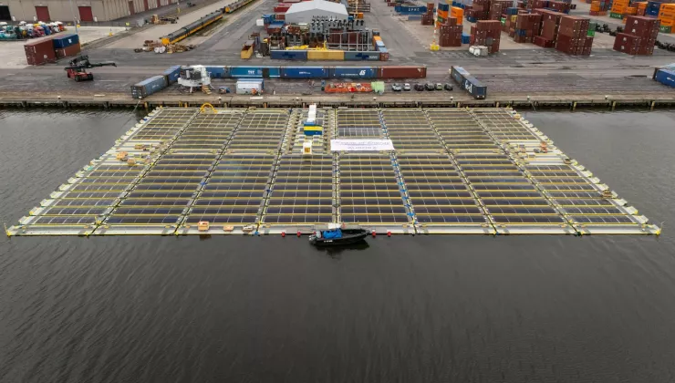 Oceans of Energy - OSF Nymphaea Aurora