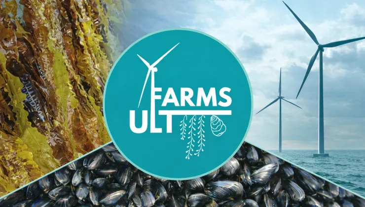 ULTFARMS project